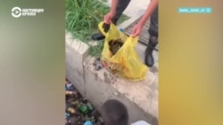 Таджикистанец из своего кармана платит землякам за уборку мусора: 30 сомони за каждый собранный мешок Таджикистанец из своего кармана платит землякам за уборку мусора: 30 сомони за каждый собранный мешок