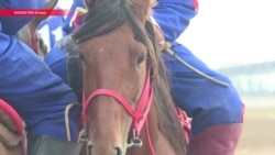 Как всадники борются за тушу козла. Рассказываем об "азиатском футболе на конях" Как всадники борются за тушу козла. Рассказываем об "азиатском футболе на конях"