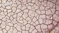 "Никогда такого не было!" Почему в Крыму на самом деле не хватает воды "Никогда такого не было!" Почему в Крыму на самом деле не хватает воды