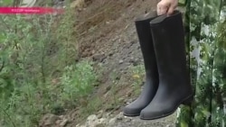 Почему многодетные Челябинска погрязли в "болотном деле" Почему многодетные Челябинска погрязли в "болотном деле"