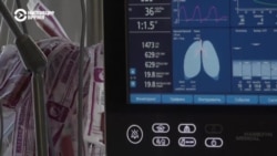 Новый максимум смертности от COVID-19 зафиксирован в России Новый максимум смертности от COVID-19 зафиксирован в России