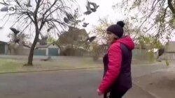 Репортаж из города Лиман Донецкой области, к которому приближается линия фронта Репортаж из города Лиман Донецкой области, к которому приближается линия фронта