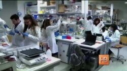 Лихорадка Эбола Лихорадка Эбола