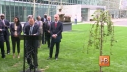 ООН отмечает окончание Второй мировой войны ООН отмечает окончание Второй мировой войны