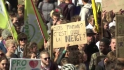 Чего требуют участники экологических протестов Чего требуют участники экологических протестов