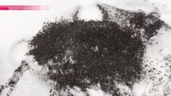 Зерновой захват в Украине Зерновой захват в Украине