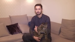 Как кота не пустили в самолет, но он все равно смог улететь Как кота не пустили в самолет, но он все равно смог улететь