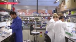 Один из ведущих вузов России "Шанинку" лишили аккредитации Один из ведущих вузов России "Шанинку" лишили аккредитации