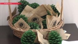 "Шишка" за лигалайз: партия, которая хочет отменить призыв и декриминализировать легкие наркотики "Шишка" за лигалайз: партия, которая хочет отменить призыв и декриминализировать легкие наркотики