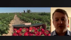 Что не так с принятым законом о продаже земли в Украине, объясняет экономист Что не так с принятым законом о продаже земли в Украине, объясняет экономист