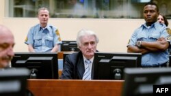 Международный трибунал по бывшей Югославии судит лидера боснийских сербов Радована Караджича в Гааке в марет 2016 года