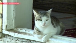 Ноокен – вместо дома престарелых. Почему пожилая москвичка уехала из Москвы в Кыргызстан Ноокен – вместо дома престарелых. Почему пожилая москвичка уехала из Москвы в Кыргызстан