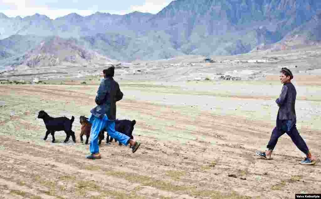 Общая численность племени кучи – 3 млн человек, которые на протяжении многих веков кочевали по стране