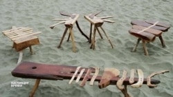 Эксклюзивная мебель: англичане выращивают столы и стулья в собственном саду Эксклюзивная мебель: англичане выращивают столы и стулья в собственном саду