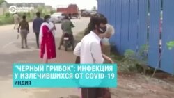 Советник министра здравоохранения Украины об индийском черном грибке Советник министра здравоохранения Украины об индийском черном грибке