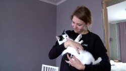 Как в России проходили обыски у сторонников Навального. Репортаж Настоящего Времени Как в России проходили обыски у сторонников Навального. Репортаж Настоящего Времени