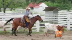 Штат Одинокой Звезды Штат Одинокой Звезды