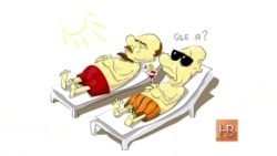 "Имеет полное право" "Имеет полное право"