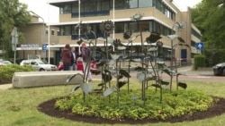 В Хильверсуме сажают подсолнухи в память о погибших на рейсе MH17 В Хильверсуме сажают подсолнухи в память о погибших на рейсе MH17