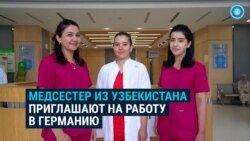 В Германию поедут на работу более 800 медсестер из Узбекистана В Германию поедут на работу более 800 медсестер из Узбекистана