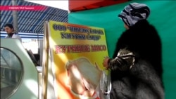 Как Узбекистан решает вопрос налички в стране Как Узбекистан решает вопрос налички в стране