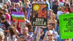 Возможные сюрпризы и сенсации промежуточных выборов в США Возможные сюрпризы и сенсации промежуточных выборов в США