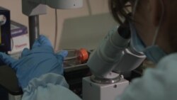 Украинские ученые разработали ПЦР-тесты по заказу Минздрава, но государство не спешит их закупать Украинские ученые разработали ПЦР-тесты по заказу Минздрава, но государство не спешит их закупать