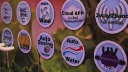 Огород XXI века: растим урожай с помощью смартфона Огород XXI века: растим урожай с помощью смартфона