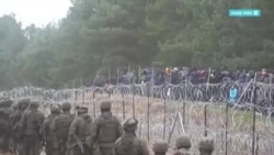 Сотни мигрантов пытаются перейти границу Беларуси с Польшей Сотни мигрантов пытаются перейти границу Беларуси с Польшей
