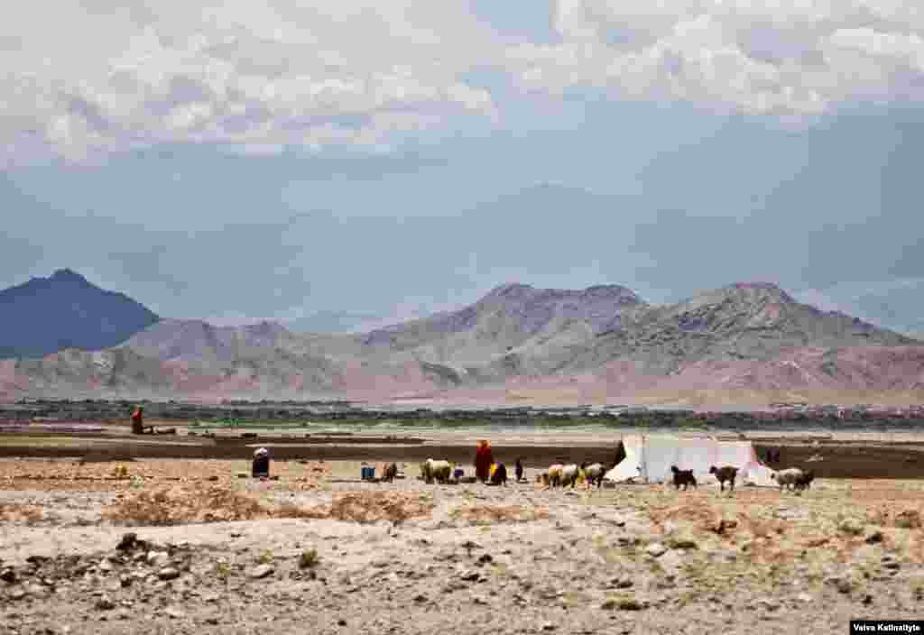 Зимой племя мигрирует в горные части страны, а летом – в теплые долины. Кучи играют важную роль в сельском хозяйстве страны