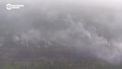 Представитель Гринпис о том, почему пожары в России – это катастрофа Представитель Гринпис о том, почему пожары в России – это катастрофа