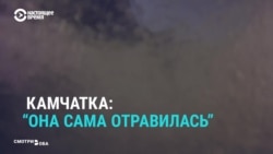 Что госСМИ и соцсети говорят о экокатастрофе на Камчатке Что госСМИ и соцсети говорят о экокатастрофе на Камчатке