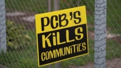 Америка. Большое путешествие: Западная Вирджиния Америка. Большое путешествие: Западная Вирджиния