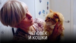 Спецпроект Феофанова: котошеф Зеленоградска Спецпроект Феофанова: котошеф Зеленоградска