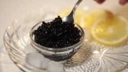 Бизнес-план: черная икра made in Ukraine Бизнес-план: черная икра made in Ukraine