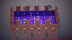 Настоящий футбол: кот Ахилл молчит о победе России Настоящий футбол: кот Ахилл молчит о победе России