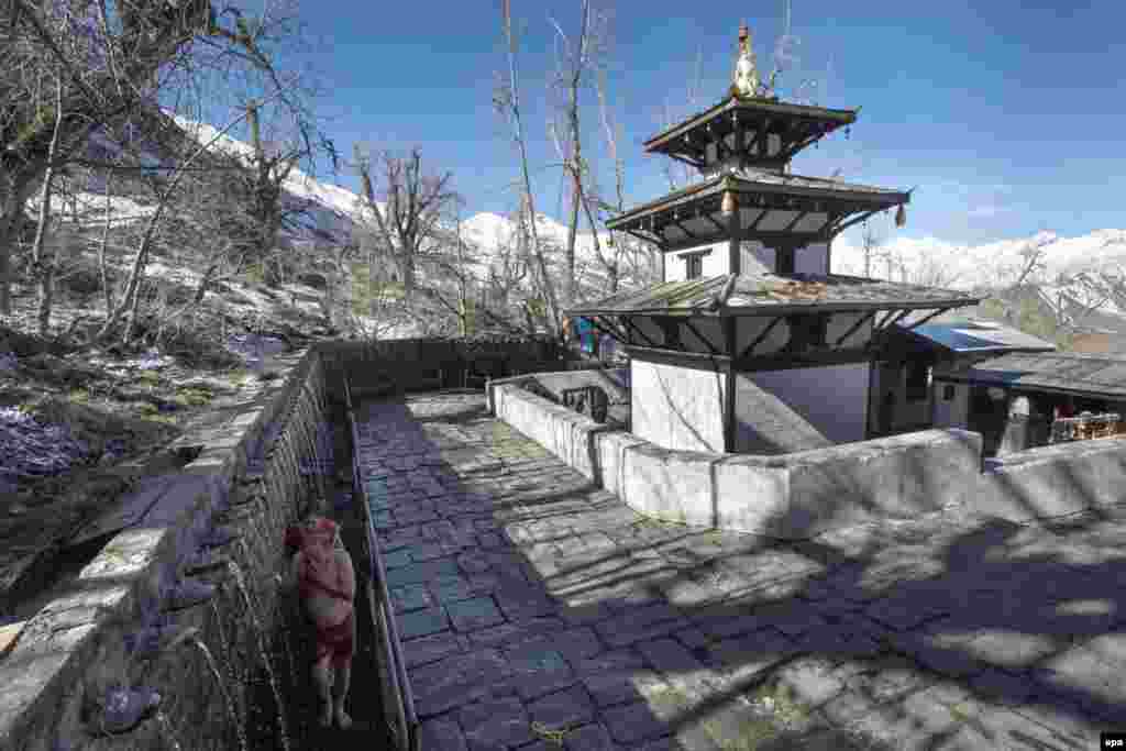 Так выглядит священая пагода Муктинатх. Каждая религия интерпретирует название по-своему: для индуистов это "место спасения души", а для буддистов - "сто священных вод"