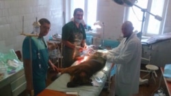 Военно-полевая хирургия в Попасной Военно-полевая хирургия в Попасной