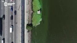 Схемы: как причалы Днепра и остров в Киеве перешли в частные руки Схемы: как причалы Днепра и остров в Киеве перешли в частные руки