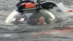 Пионтковский: "пожизненный диктатор Путин" Пионтковский: "пожизненный диктатор Путин"