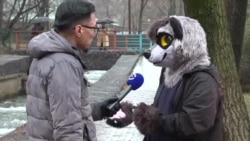 Кто такие фурри и чем они отличаются от квадроберов Кто такие фурри и чем они отличаются от квадроберов