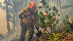 "У нас сейчас вопрос жизни и смерти". Якутия задыхается от лесных пожаров "У нас сейчас вопрос жизни и смерти". Якутия задыхается от лесных пожаров