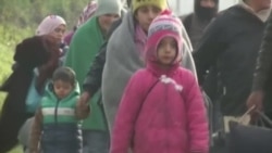 ЕС не находит решение кризиса мигрантов ЕС не находит решение кризиса мигрантов