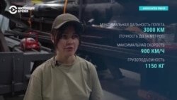 Что известно о новой украинской ракете "Фламинго" Что известно о новой украинской ракете "Фламинго"