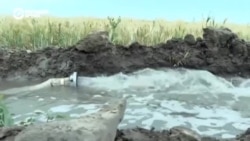 В Кыргызстане из-за нехватки воды может погибнуть урожай В Кыргызстане из-за нехватки воды может погибнуть урожай