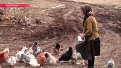 Колхоз уехал, село осталось: как выживает самая маленькая деревня Грузии Колхоз уехал, село осталось: как выживает самая маленькая деревня Грузии