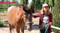 Казахстан спорит, стоит ли запрещать национальные скачки (байгу) Казахстан спорит, стоит ли запрещать национальные скачки (байгу)