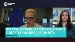 Навальная, Яшин и Кара-Мурза в Европарламенте: что они заявили евродепутатам Навальная, Яшин и Кара-Мурза в Европарламенте: что они заявили евродепутатам