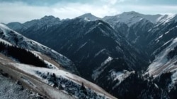 Азия 360°: последние маралы Кыргызстана Азия 360°: последние маралы Кыргызстана