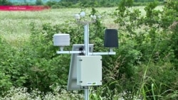 Вино высоких технологий: как грузинские виноделы используют достижения аграрной науки и техники Вино высоких технологий: как грузинские виноделы используют достижения аграрной науки и техники